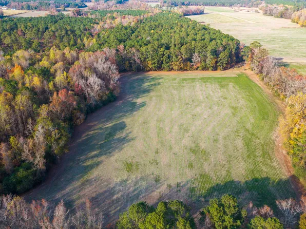 41.5 Acres High School Road, Teachey, NC 28464