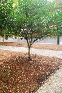 8 Wild Spartina St, Bluffton, SC, 29910