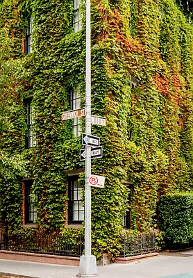 Rented by Douglas Elliman | media 11