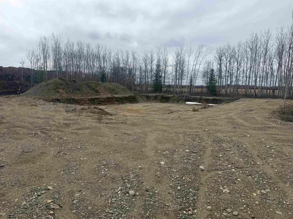 Nhn Angela Dr, Delta Junction, AK 99737