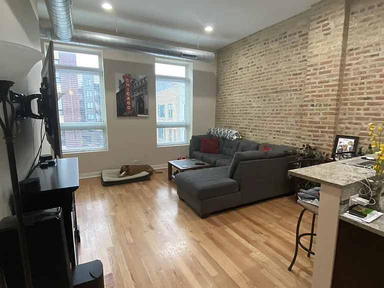 683 N Milwaukee Ave #305 — Photo 1