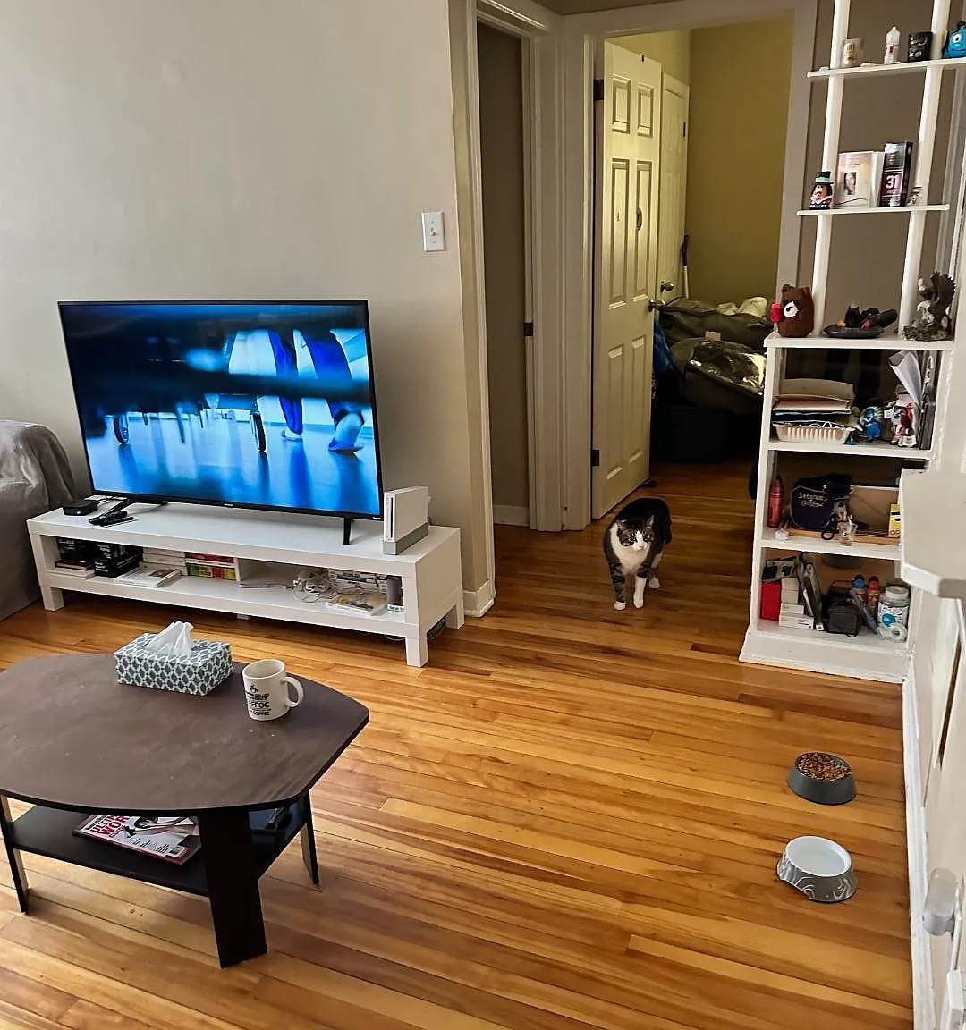2 bed, 1200 sqft, $1,779 — Photo 3