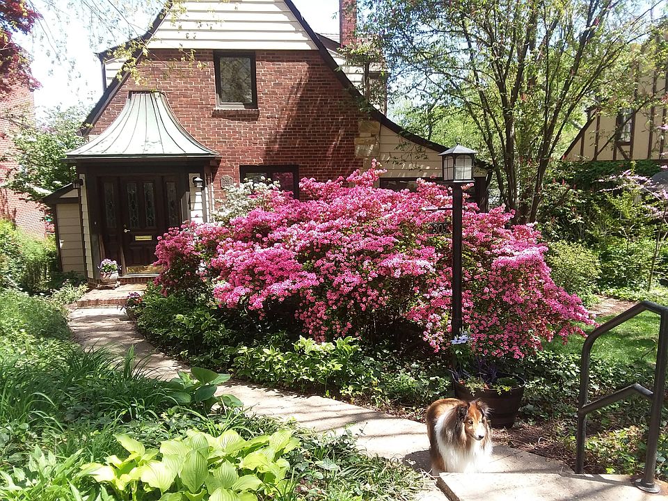 1st image of 303 Kentucky Ave