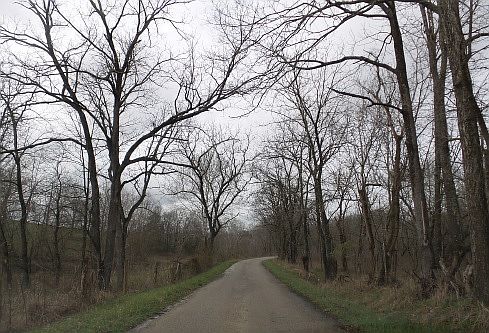 2nd image of 733 Snake Lick Rd