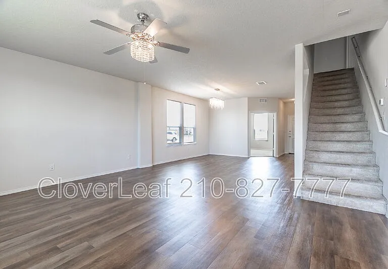 6823 Ashcat — Photo 5
