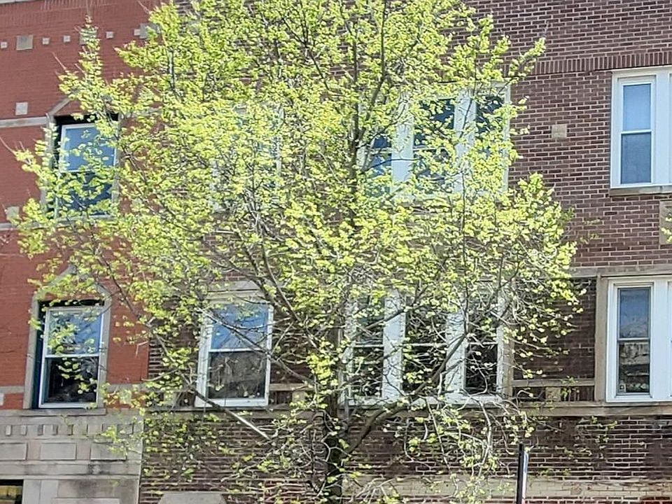 1st image of 1923 W Montrose Ave APT 2