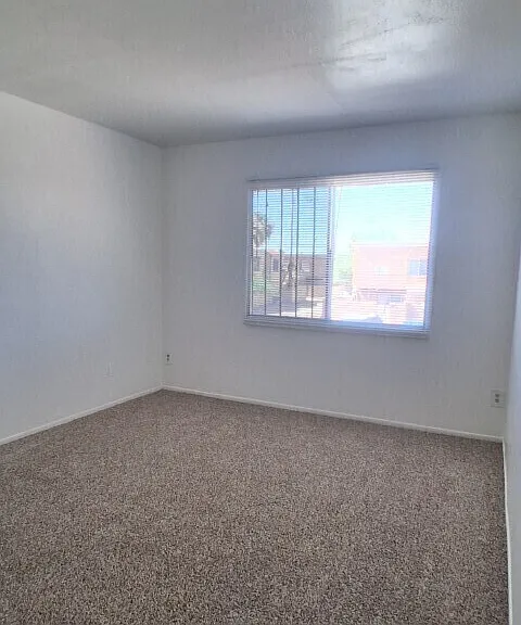 4515 E Wood St — Photo 18