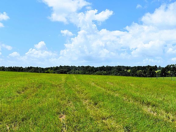 4th image of 8034 E County Road 212