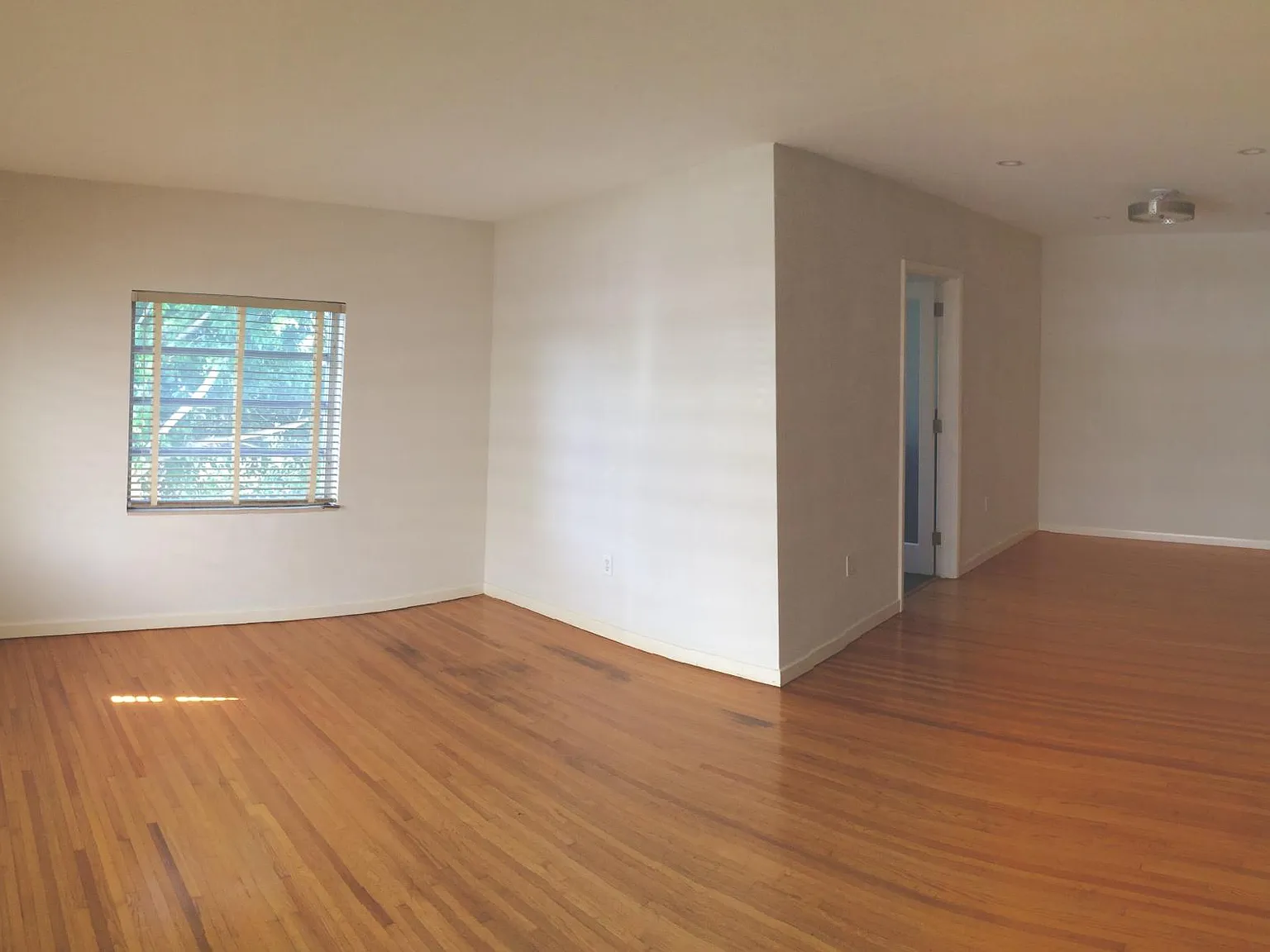 3703 Ponce De Leon Boulevard — Photo 4