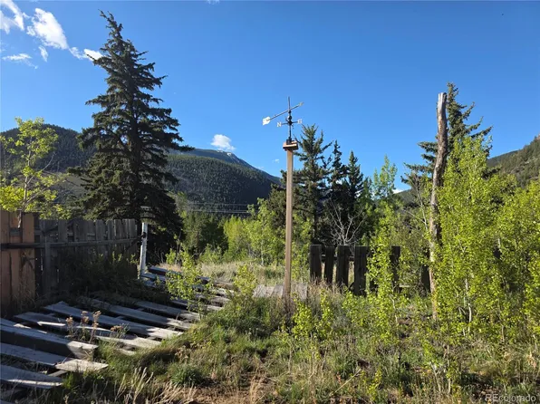 238 W Hanchett Road, Empire, CO 80438