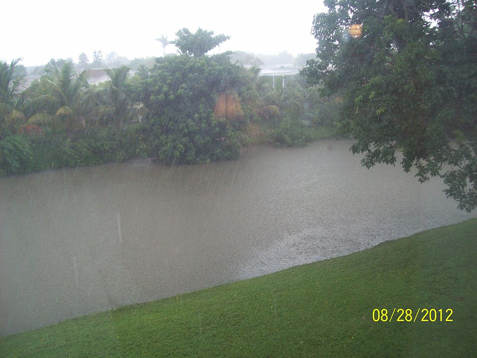 View from Living Room