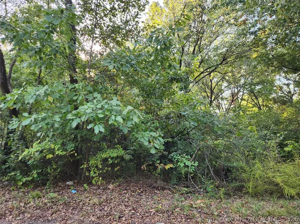 Lakeview Dr, Langley, OK 74350