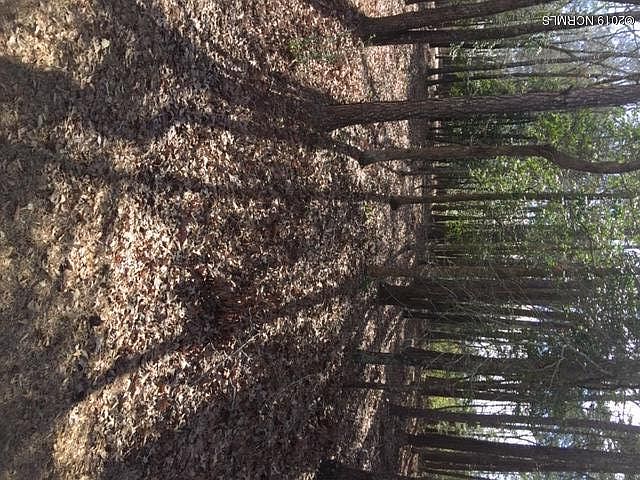 1st image of 168 Pamlico River Drive
