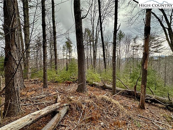 4th image of TBD Mantera Ridge