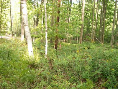 484 W Ogemaw Center Rd, West Branch, MI, 48661