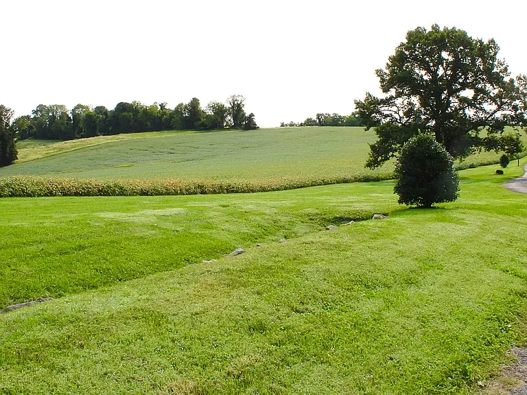 Views of the driveway