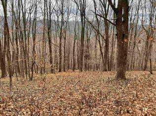 42 High Mountain Rd, Harman, WV 26270