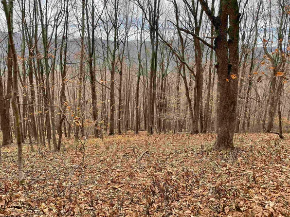 42 High Mountain Rd, Harman, WV 26270