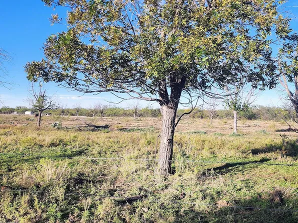 201 Orchard Ln, Mertzon, TX 76941