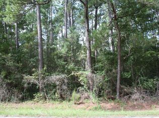 Tbd Bear Bluff Rd, Conway, SC 29526