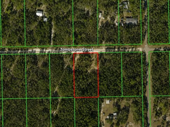 33240 Tombstone St Lot 6, Webster, FL 33597