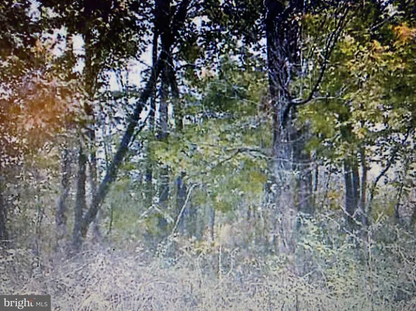 0 Levittown Pkwy Lot 485, Levittown, PA 19054