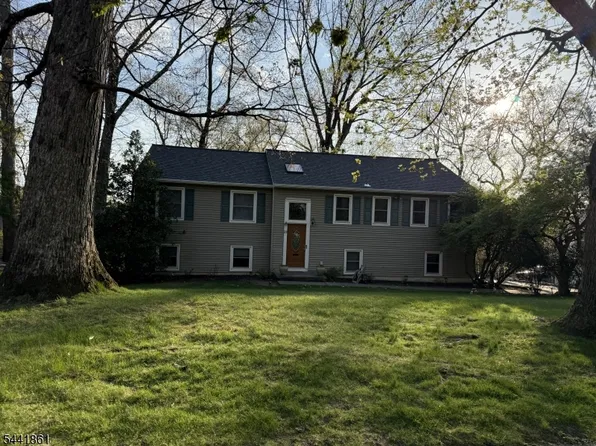 23 Kearney Ter, Livingston, NJ 07039