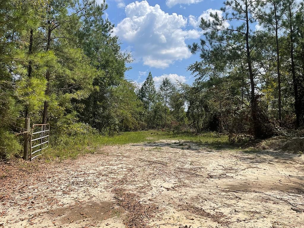 0 County Road 6603, Banks, AL 36005 Zillow