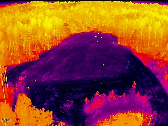 92nd image of this home