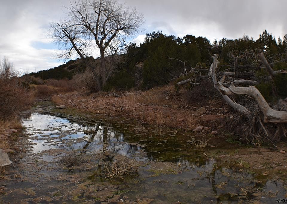 1st image of 4509 County Road 123