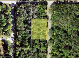 379 & 387 Edgar St LOT 9 & 10, Pt Charlotte, FL 33953
