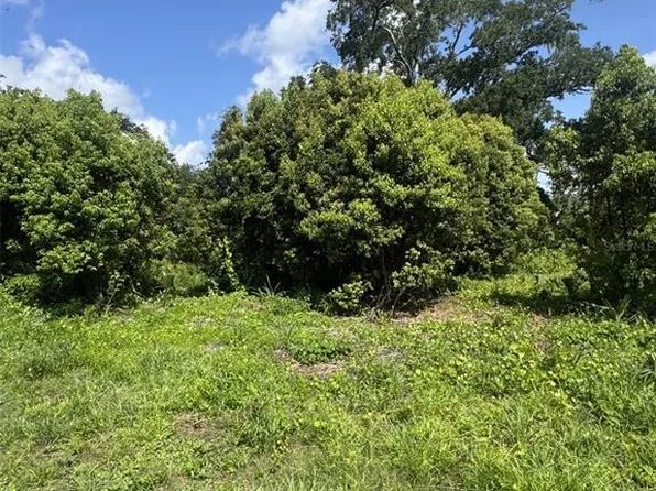 Paige Ave, New Smyrna Beach, FL 32168