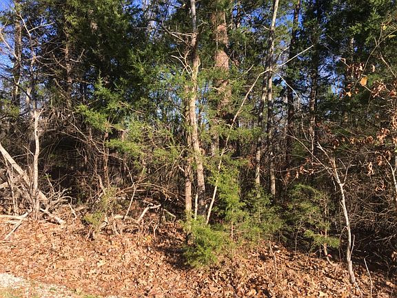 5th image of 420 Shelton Ln