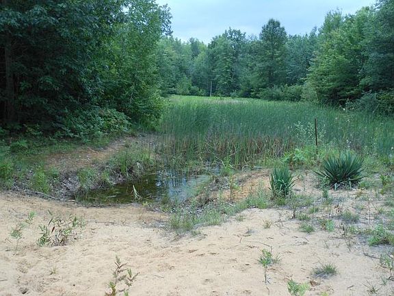 3rd image of 1242 S Rapids View Dr