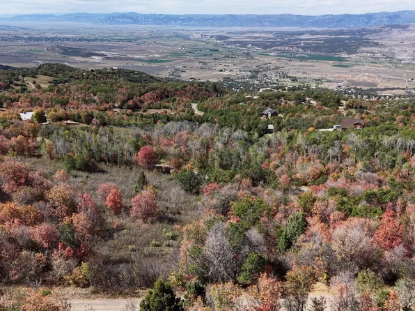 22045 N 143780 E, Fairview, UT 84629