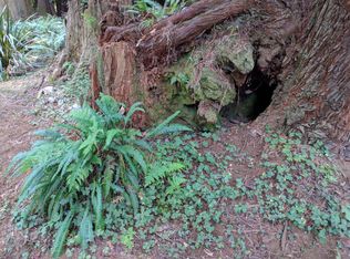 500 Brown Rd, Crescent City, CA 95531