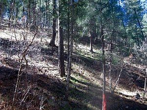 2nd image of 211 Camelot Dr