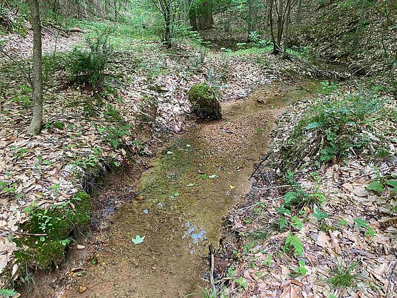 6th image of this home