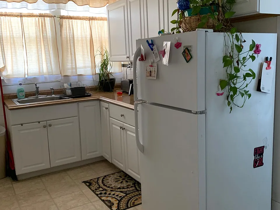 Large Sunny Eat in Kitchen.
