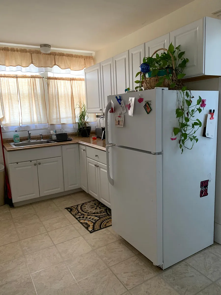 Large Sunny Eat in Kitchen. - 197 Helen St