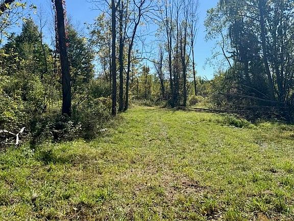 3rd image of 42593 County Road 390