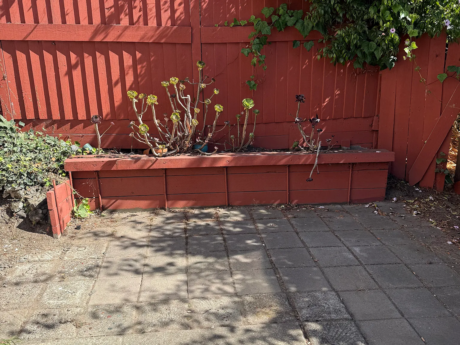 1456 1/2 Hopkins St — Photo 2