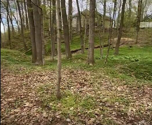 4th image of 2348 Spring Arbor