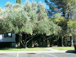 1st image of 6332 N Barcelona Ln Unit 501