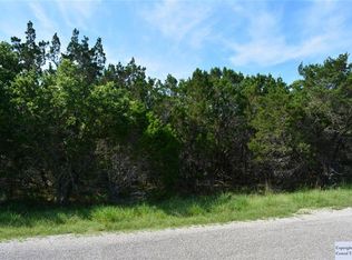336 Morgan Ct, Fischer, TX 78623