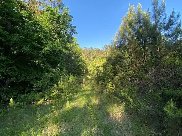 0 Chisholm Dr SW, Summit, MS 39666