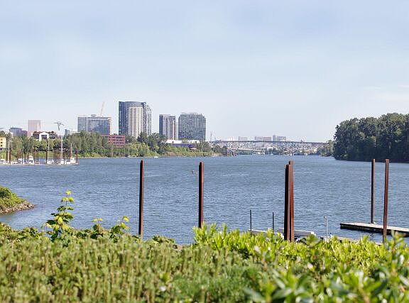 river and city view 