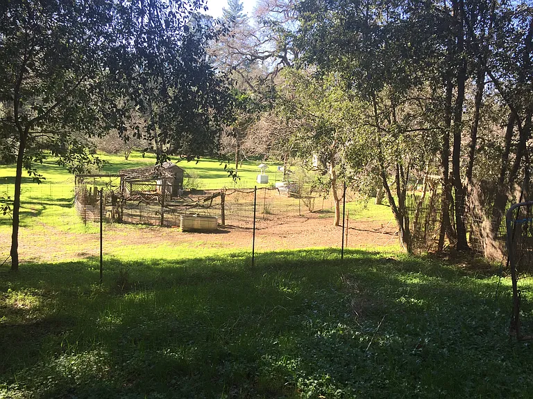 12400 Mierkey Rd — Photo 9