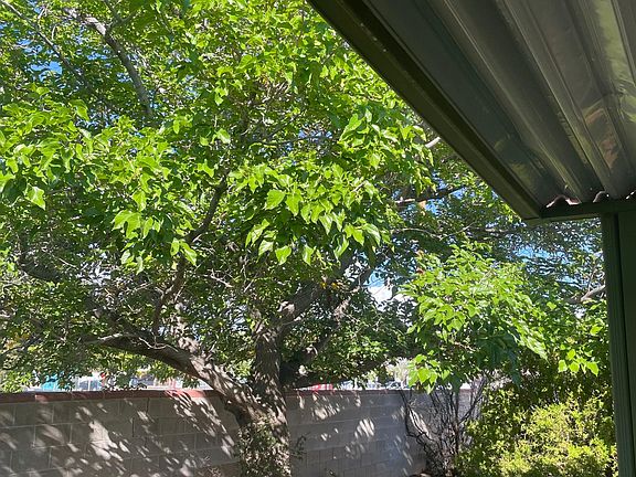High wall and trees block street noise and access.
