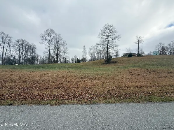 LOT 29 Oak Point Dr, Jonesville, VA 24263